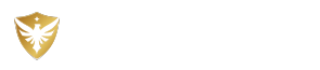 Singleton Group Int Logo